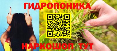 гидра Наро-Фоминск