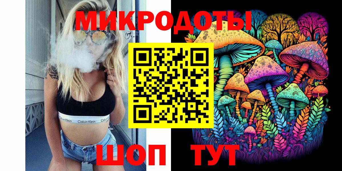 Галлюциногенные грибы Psilocybe Среднеуральск